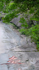 5A风景区明月山鱼鳞溪合集视频