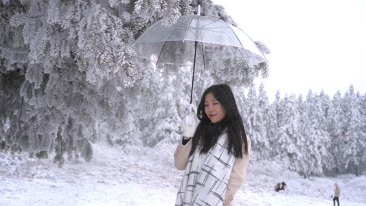 升格美女树下打伞遮下落雪花视频