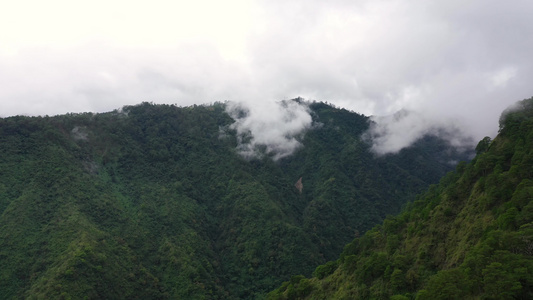 山顶的雨林高原的雨云视频