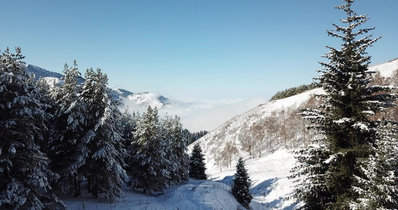 山上积雪云层之上视频