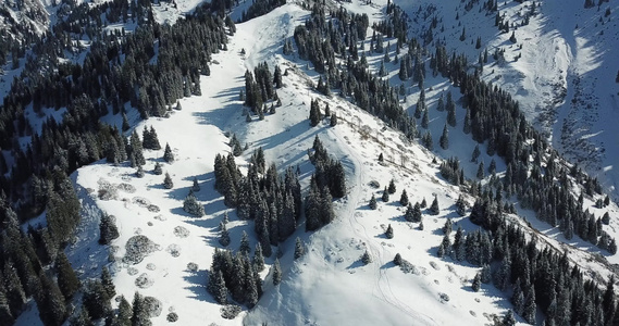 山上积雪云层之上视频