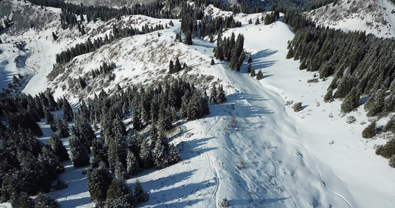 山上积雪云层之上视频