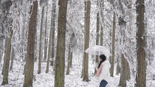 4K美女打伞在雪景树林里穿梭视频