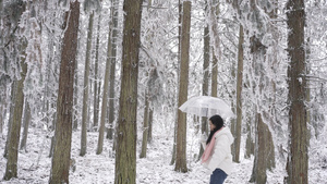 4K美女打伞在雪景树林里穿梭10秒视频