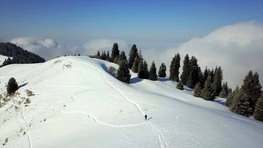 雪山和森林的视图视频