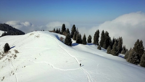 雪山和森林的视图26秒视频