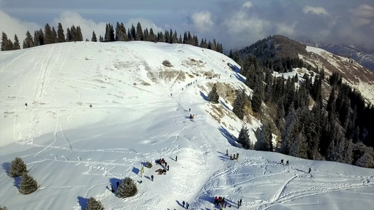 雪山和森林的视图视频