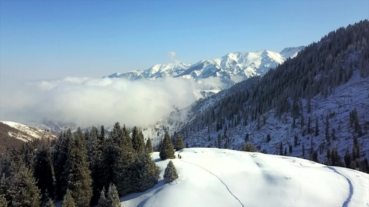 雪山和森林的视图视频