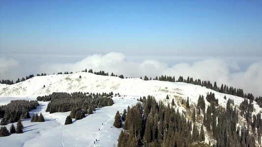 雪山和森林的视图视频