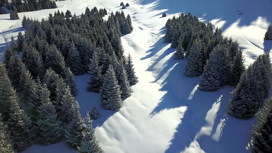 雪山和森林的视图视频