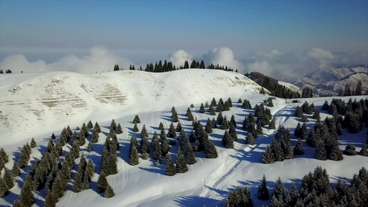 雪山和森林的视图视频