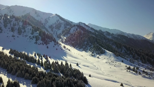 雪山和森林的视图视频