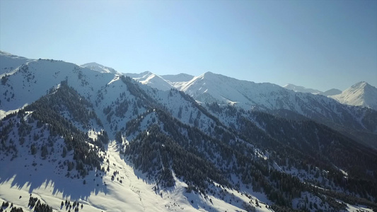 雪山和森林的视图视频