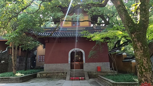 法雨寺[慧日]视频