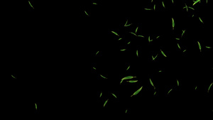 竹叶粒子漂浮下落(大量）235秒视频