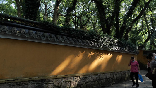 法雨寺[慧日]视频