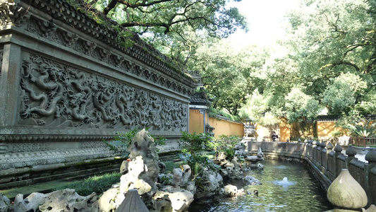 法雨寺[慧日]视频