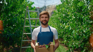 园丁在阳光明媚的果园温室里展示收获的樱桃果篮12秒视频