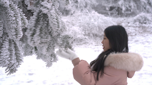 4K美女玩树上雪视频