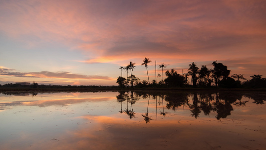椰子岛上空的日出时间反射视频