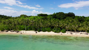 带椰子树的野白沙滩卡拉莫岛菲利平群岛17秒视频