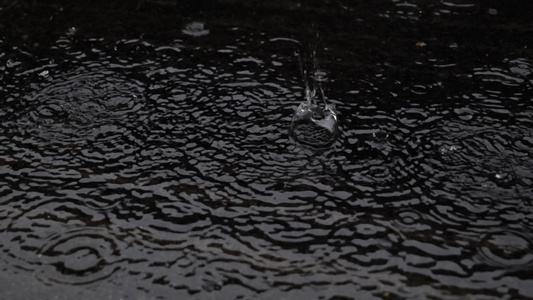 唯美春雨下雨雨天空镜头视频