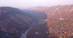 秋山森林无人机的最高视野11秒视频