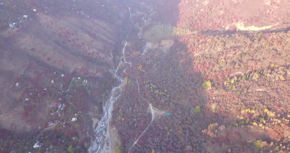 秋山森林无人机的最高视野视频