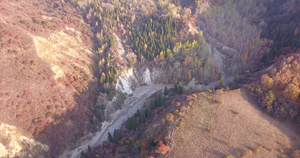 秋天森林无人机的最高视野24秒视频