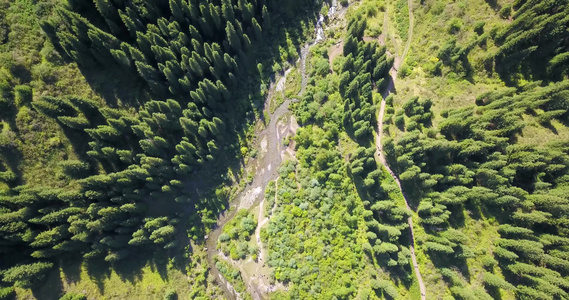 从上面看森林和峡谷的风景视频