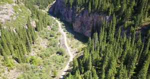 从上面看森林和峡谷的风景32秒视频