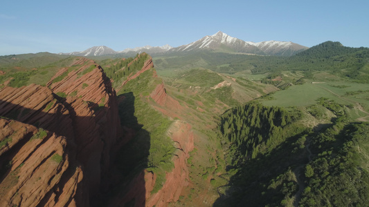 背景上的红色岩石针叶林和山脉空中展示射击无人机在峡谷视频