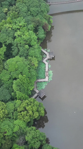 衡阳平湖公园美景视频