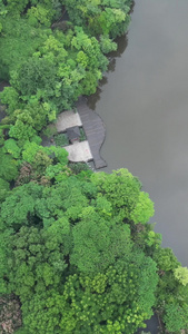 衡阳平湖公园美景视频