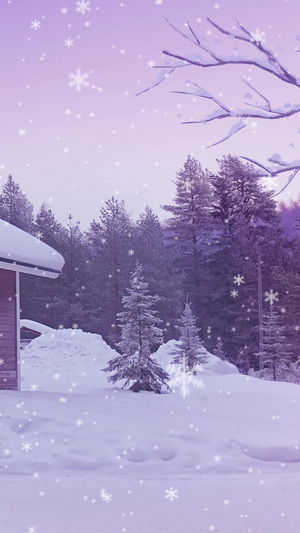 冬季下雪冬天房屋圣诞节平安夜背景视频冬天背景40秒视频