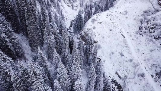 山上的雪山上视频