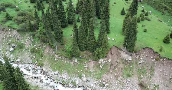 绿峡谷山上有森林视频