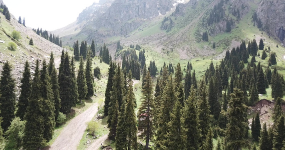 绿峡谷山上有森林视频