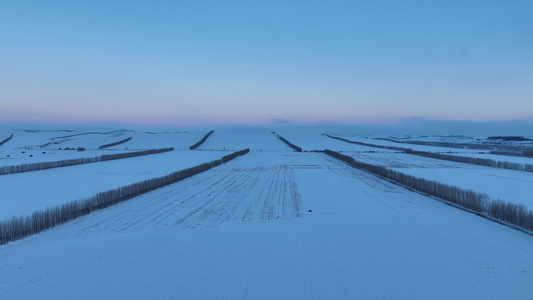 呼伦贝尔农垦垦区农田冬季雪景白雪皑皑视频