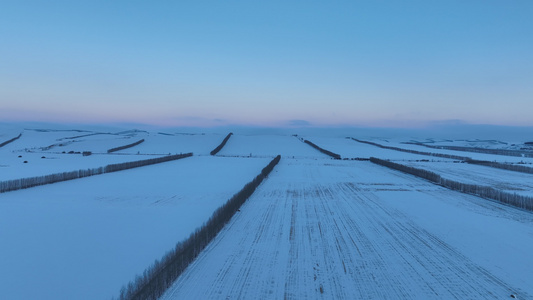 呼伦贝尔农垦垦区农田冬季雪景白雪皑皑视频