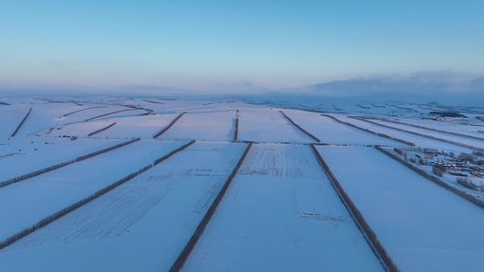 呼伦贝尔农垦垦区农田冬季雪景白雪皑皑视频