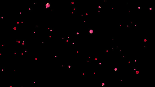 特效粉色花瓣飞舞透明通道背景视频视频