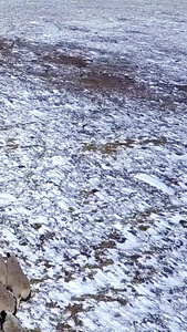 内蒙草原羊群航拍石林旅游区视频