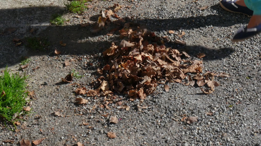 一个女人扫荡了花园里的枯叶视频
