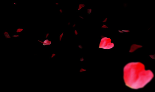 特效粉色花瓣缓慢飘落透明通道背景视频视频