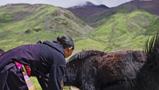西藏萨普神山下的牧民视频