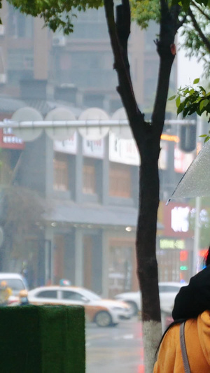雨中行人撑伞雨中情侣背影雨中散步16秒视频