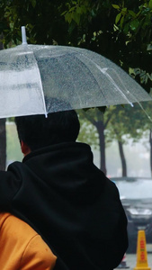 雨中行人撑伞雨中情侣背影行人背影视频