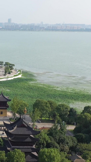 江苏苏州重元寺航拍视频阳澄湖39秒视频