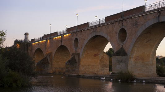 日落时在西班牙的瓜迪亚纳河上与鸭子搭桥视频